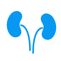 Southeastern Renal Dialysis kidney image