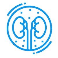 Kidneys Icon Southeastern Renal Dialysis